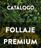 pdf catalogo follaje premium